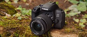 Canon EOS Rebel T8i (EOS 850D)